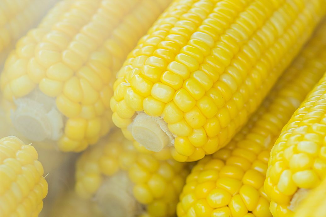 Corn